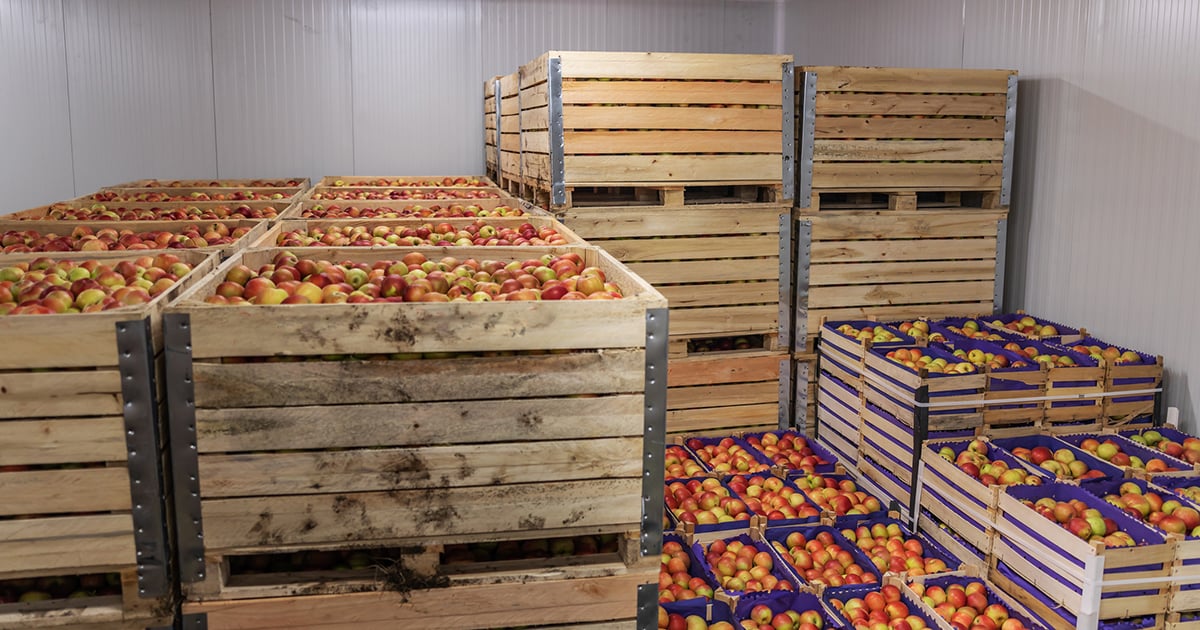 How Insulated Metal Panels Reduce Energy Costs in Refrigerated Warehouses