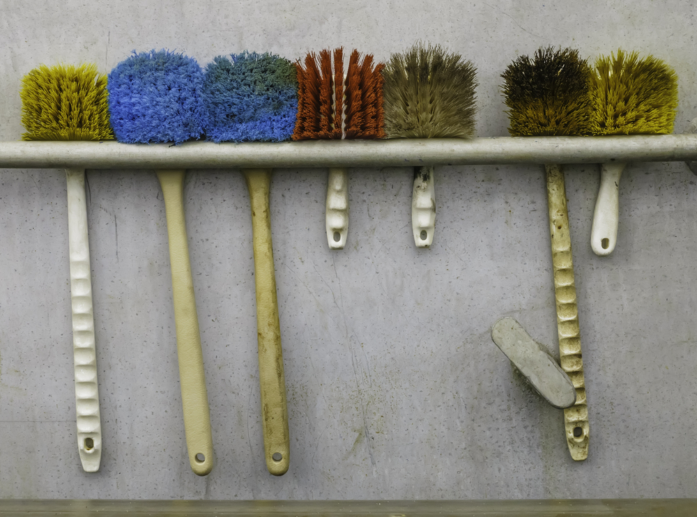 Seven scrub brushes hanging in a row 