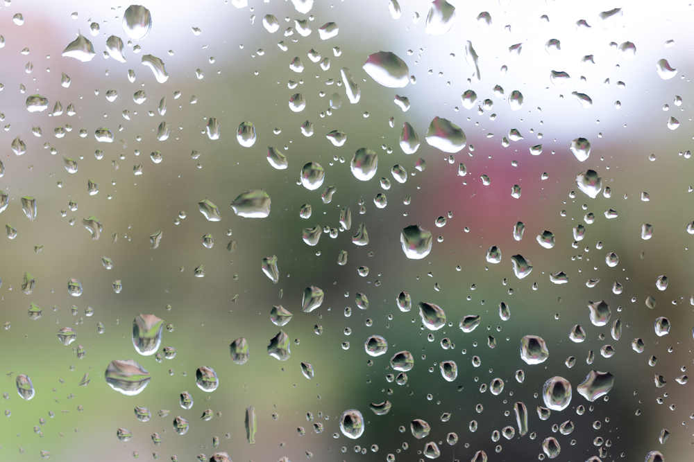 rain droplets on a windown