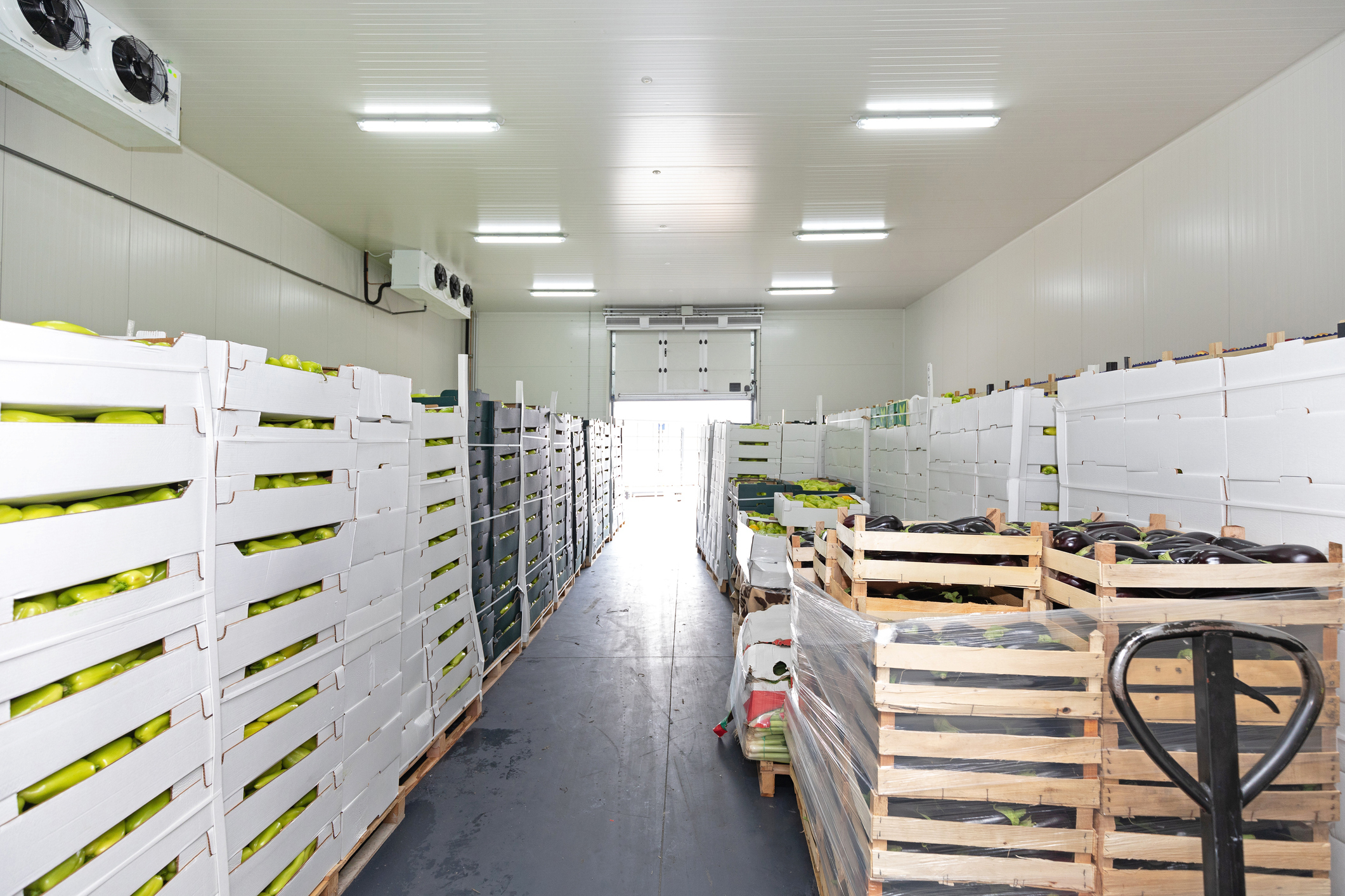 Fresh Food in Boxes on Pallets in Cold Storage